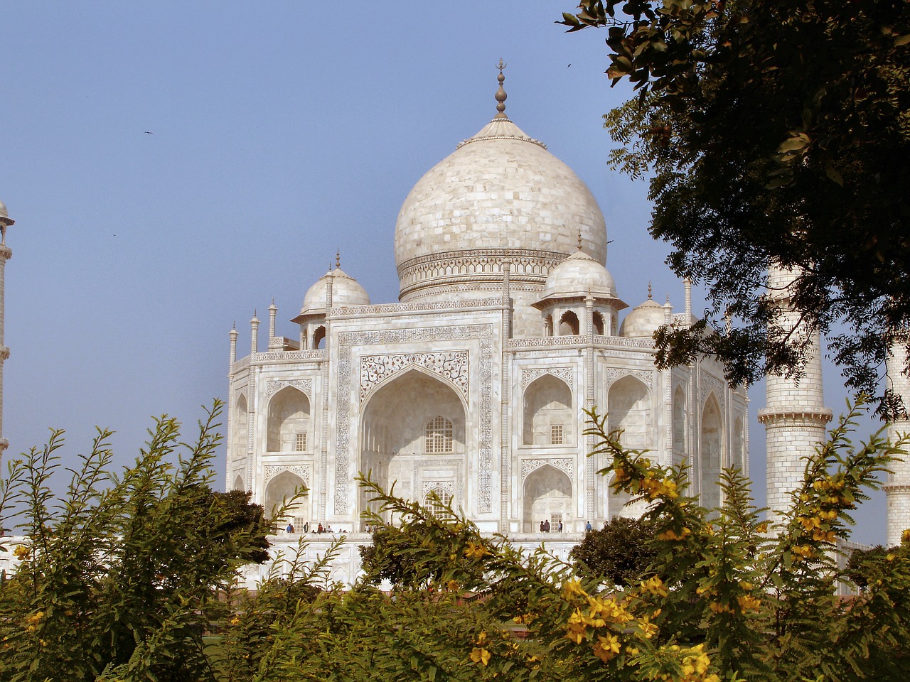 agra taj mahal india free photo