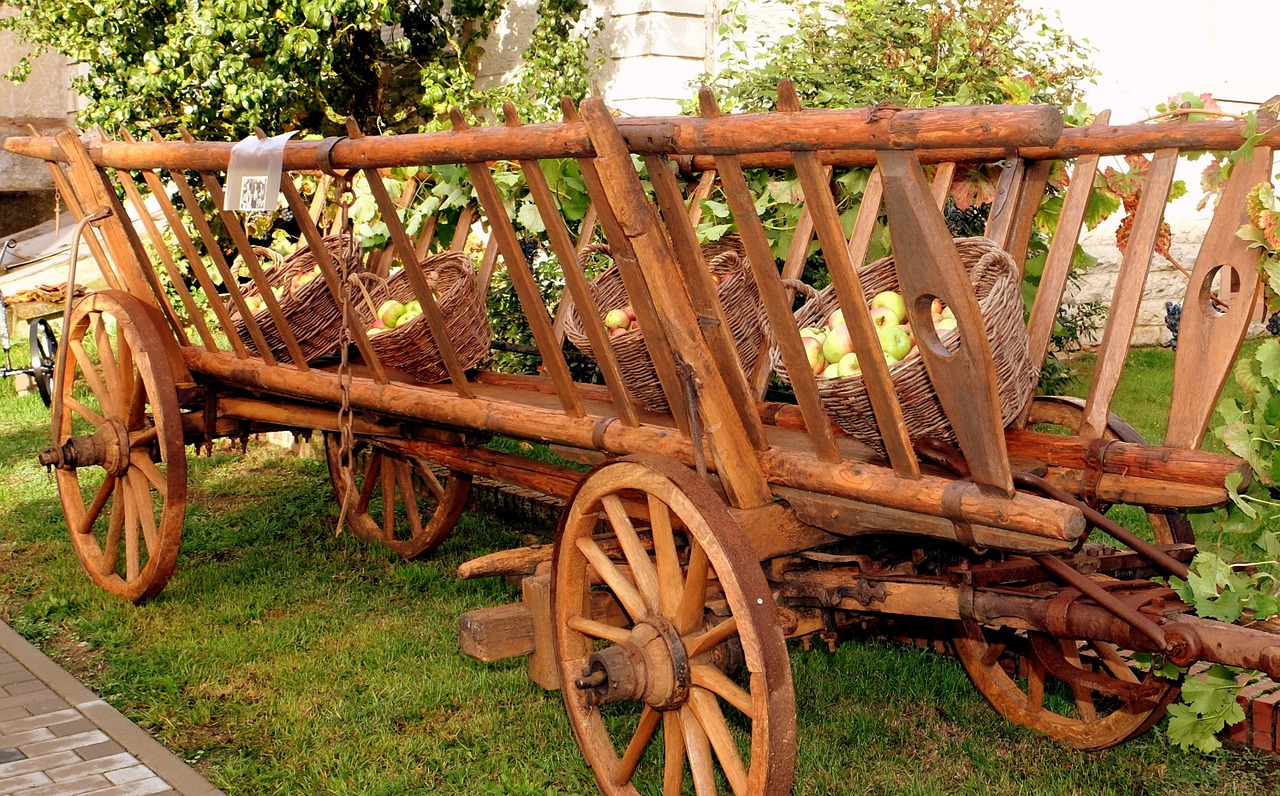 agriculture cart agriculture museum free photo