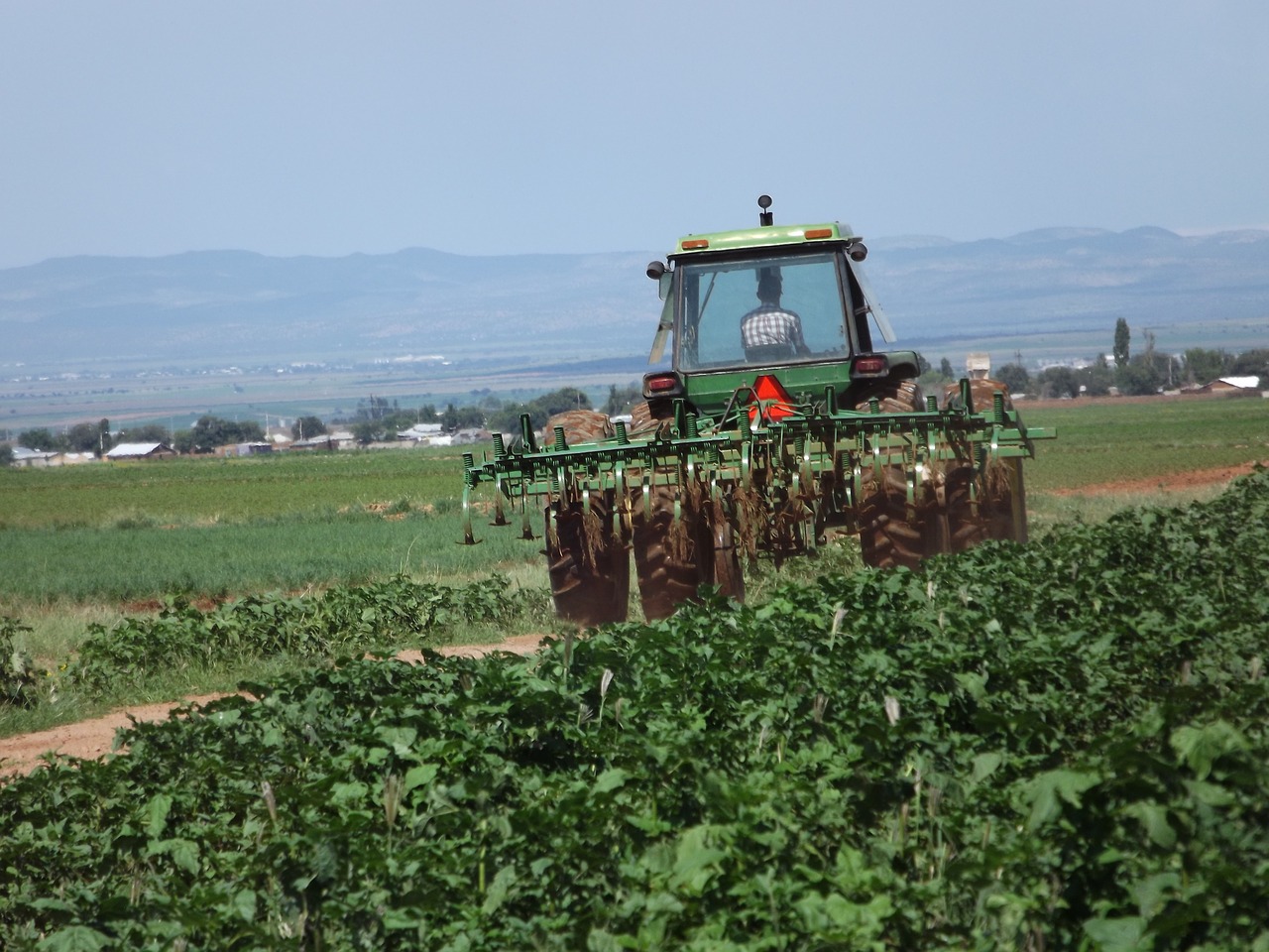 agriculture mennonites mexico free photo