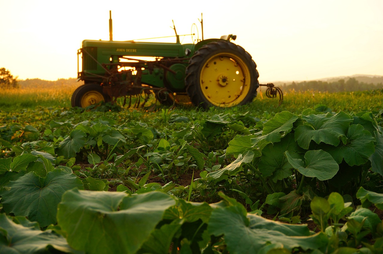 agriculture tractor john deere free photo