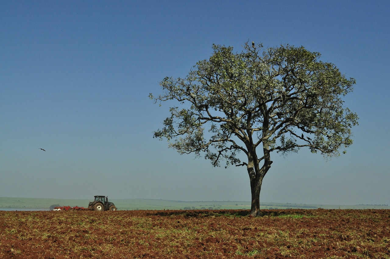 agriculture tractor field free photo