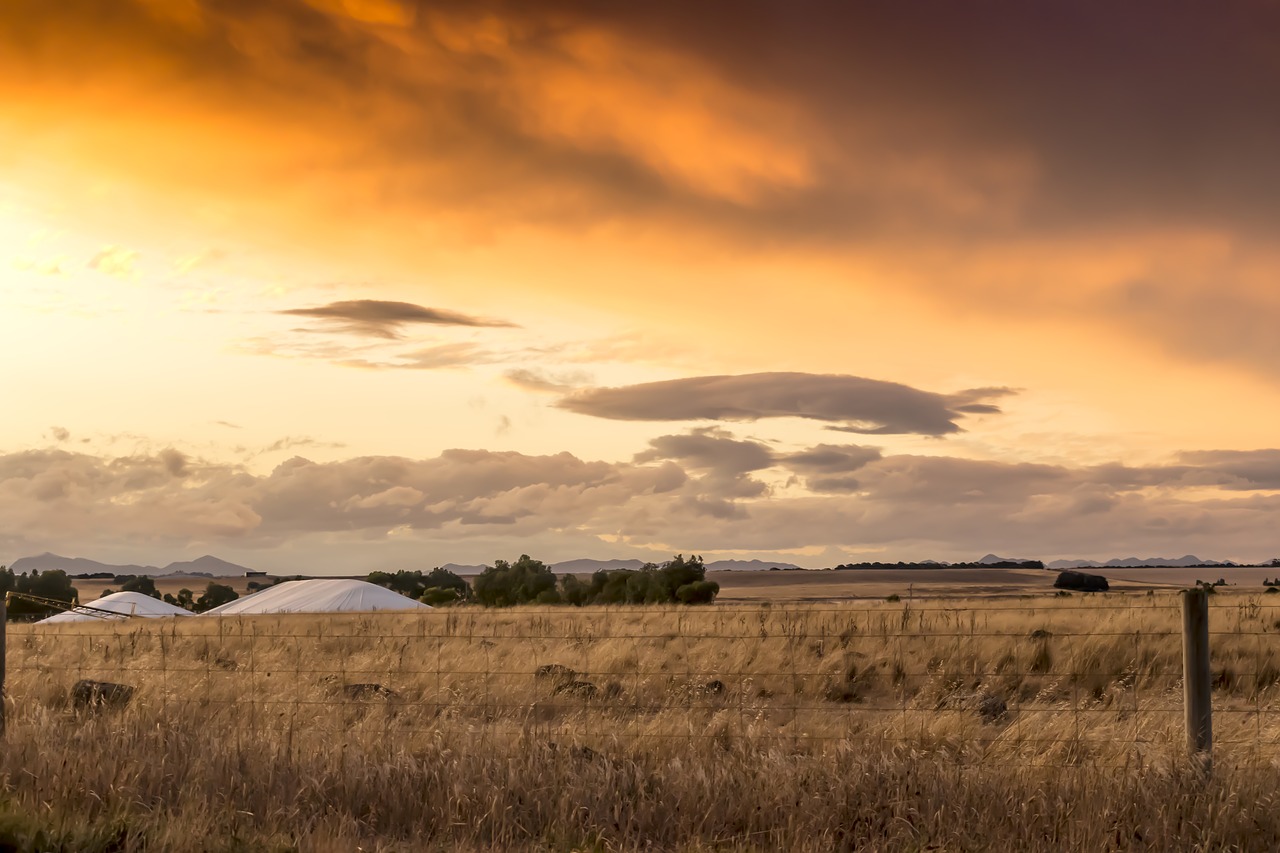 agriculture farm farming free photo