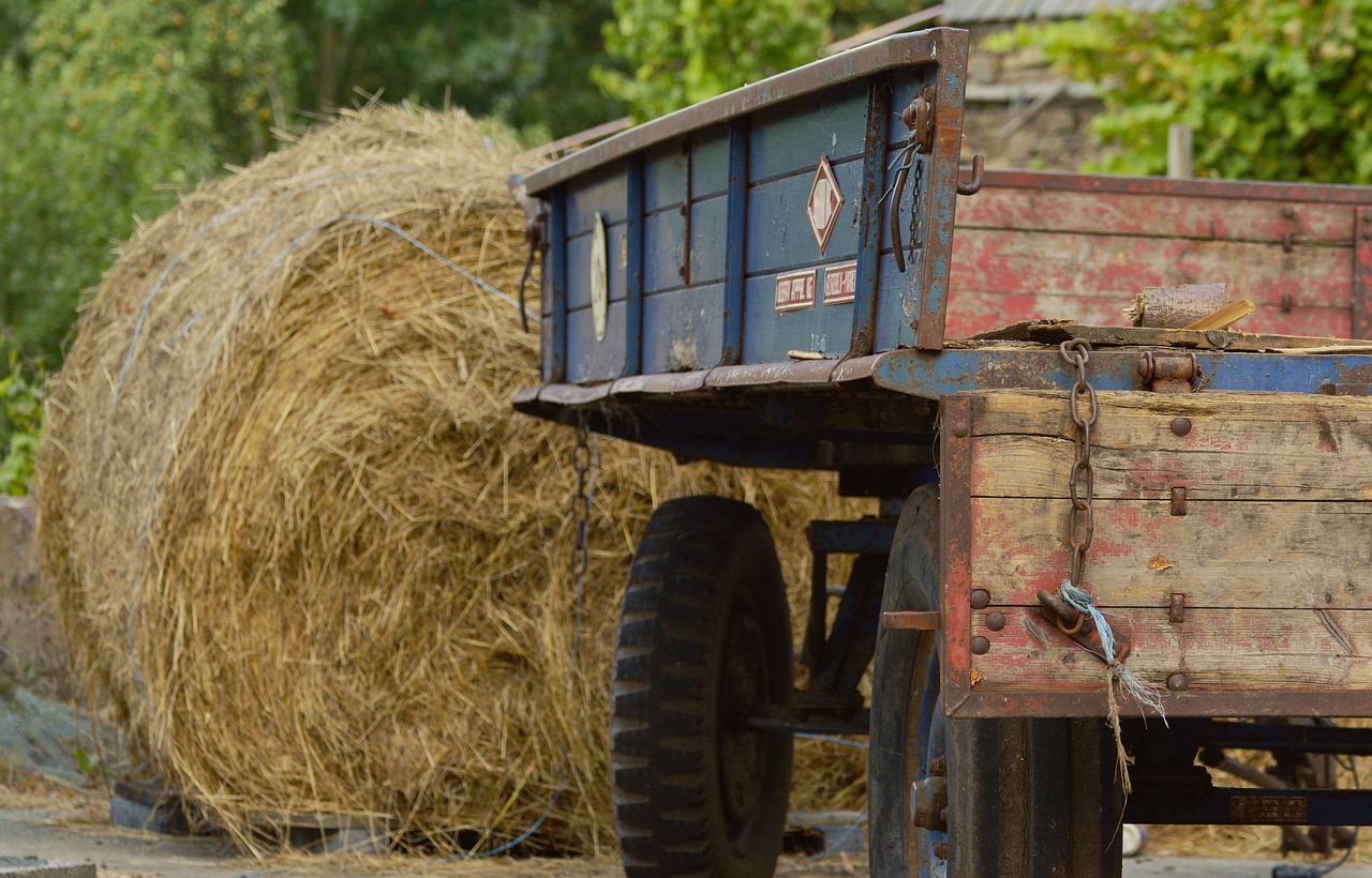agriculture trailers commercial vehicle free photo