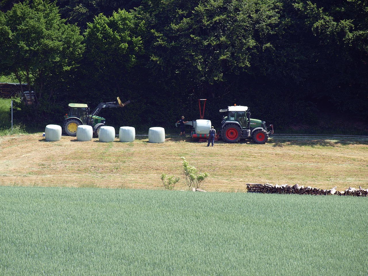 agriculture hay bales silage free photo