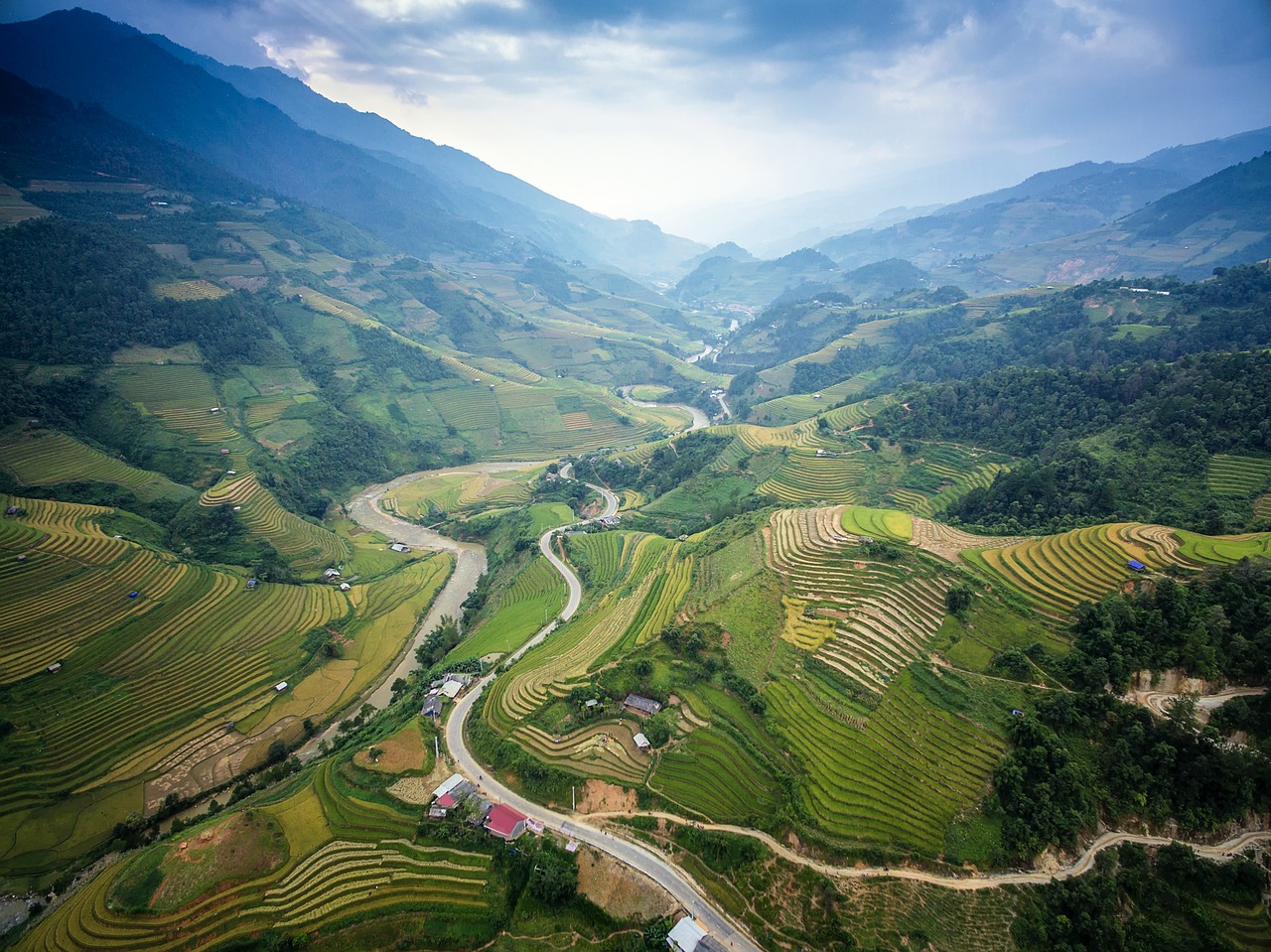 agriculture asia cat free photo