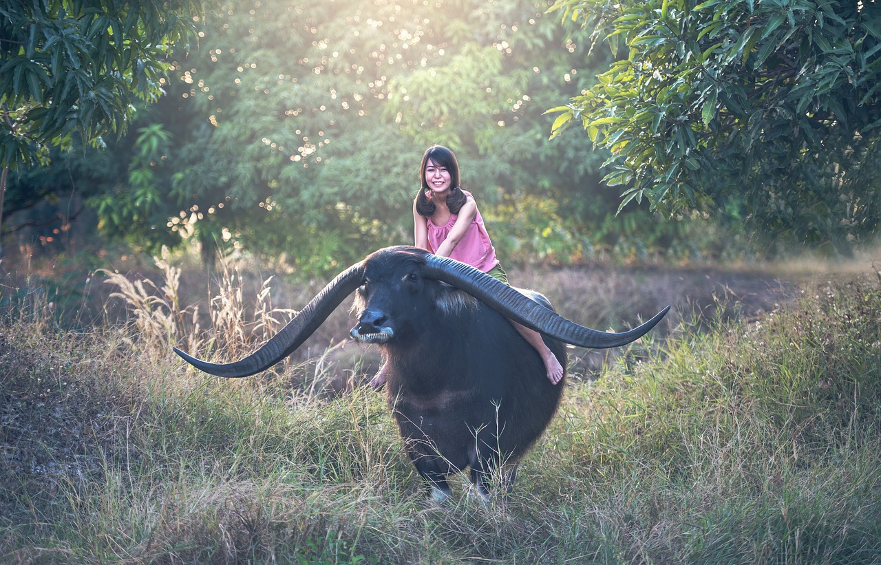 buffalo girl seat free photo