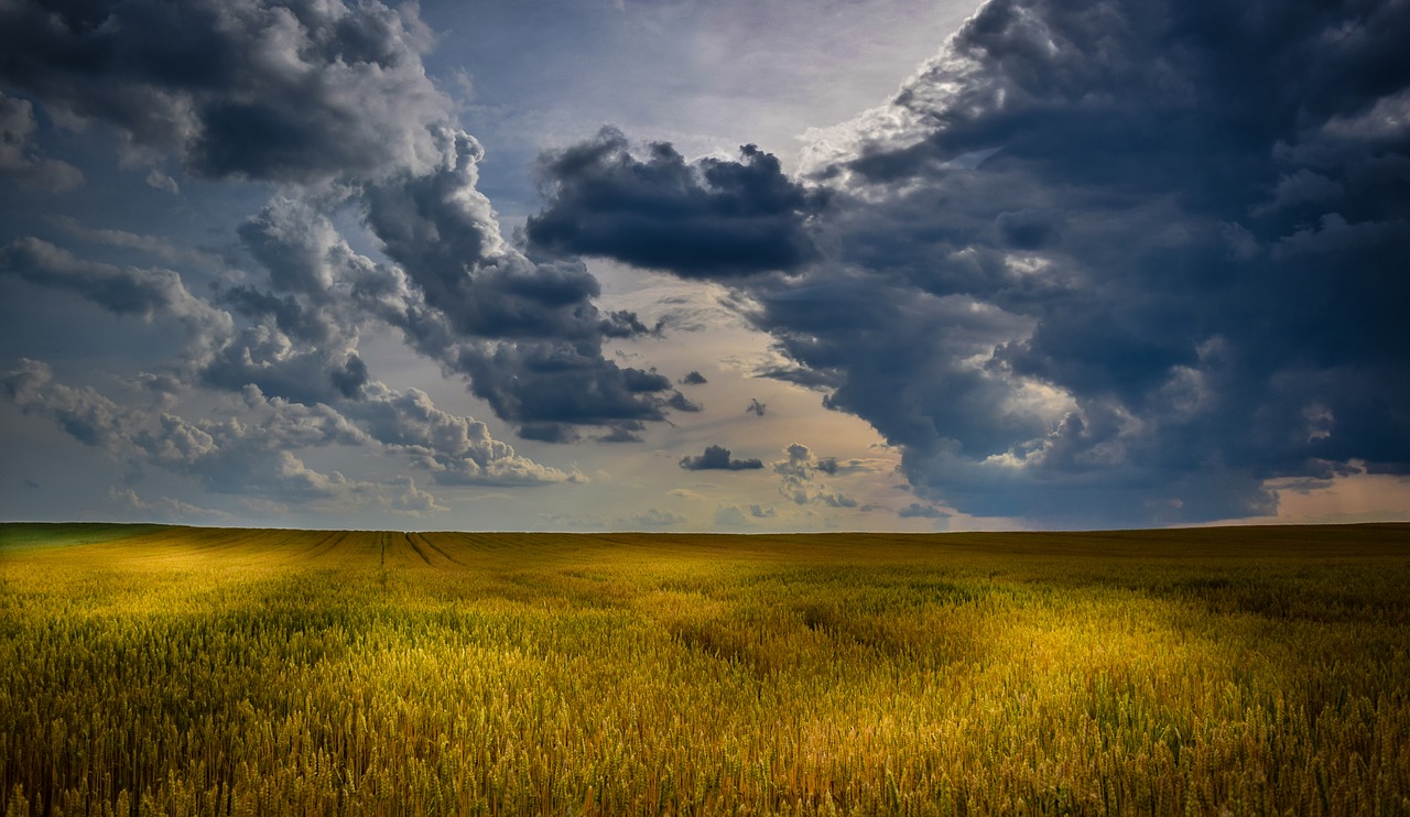 agriculture cloudscape cloudy skies free photo