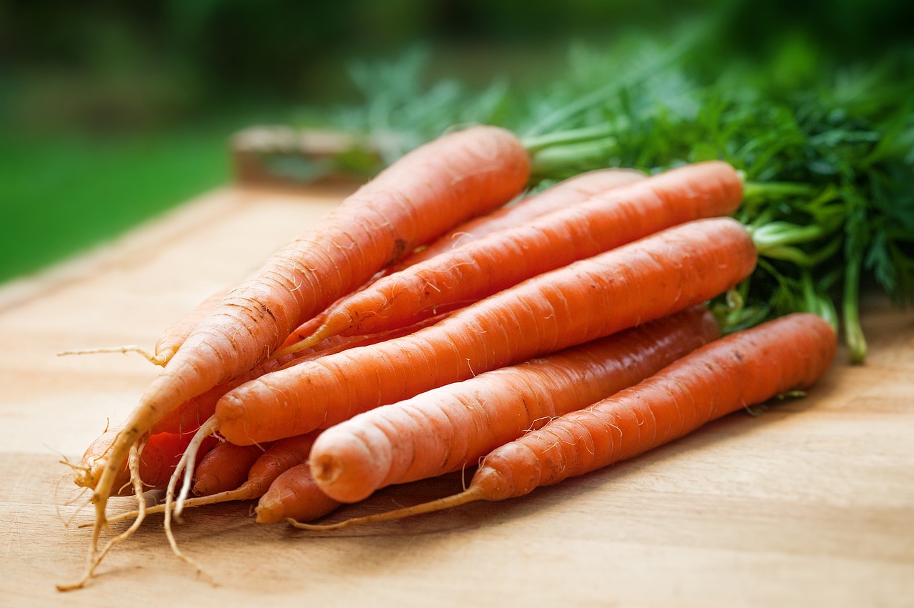 agriculture carrots close-up free photo