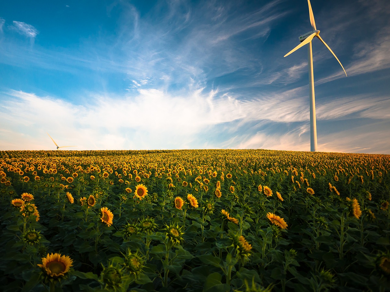 agriculture beautiful clouds free photo