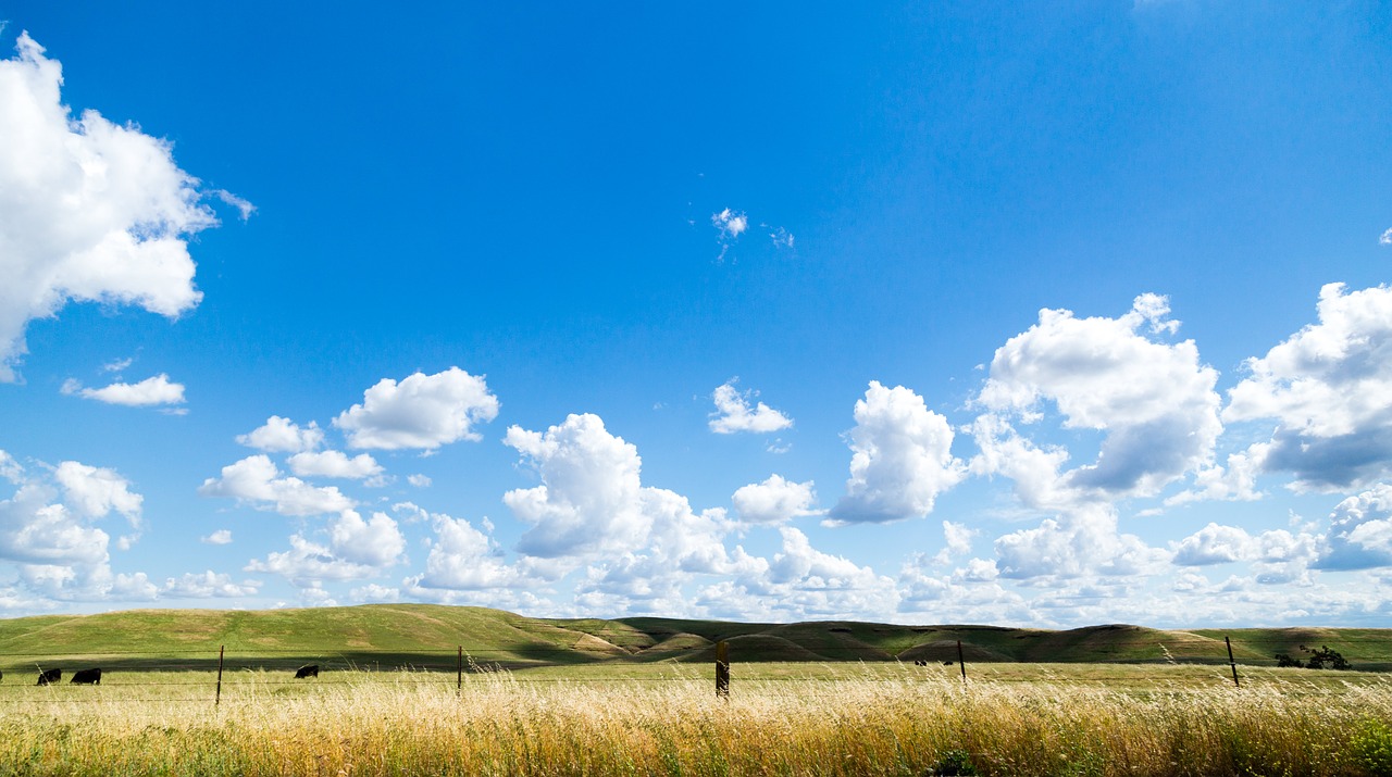 agriculture clouds cloudy free photo