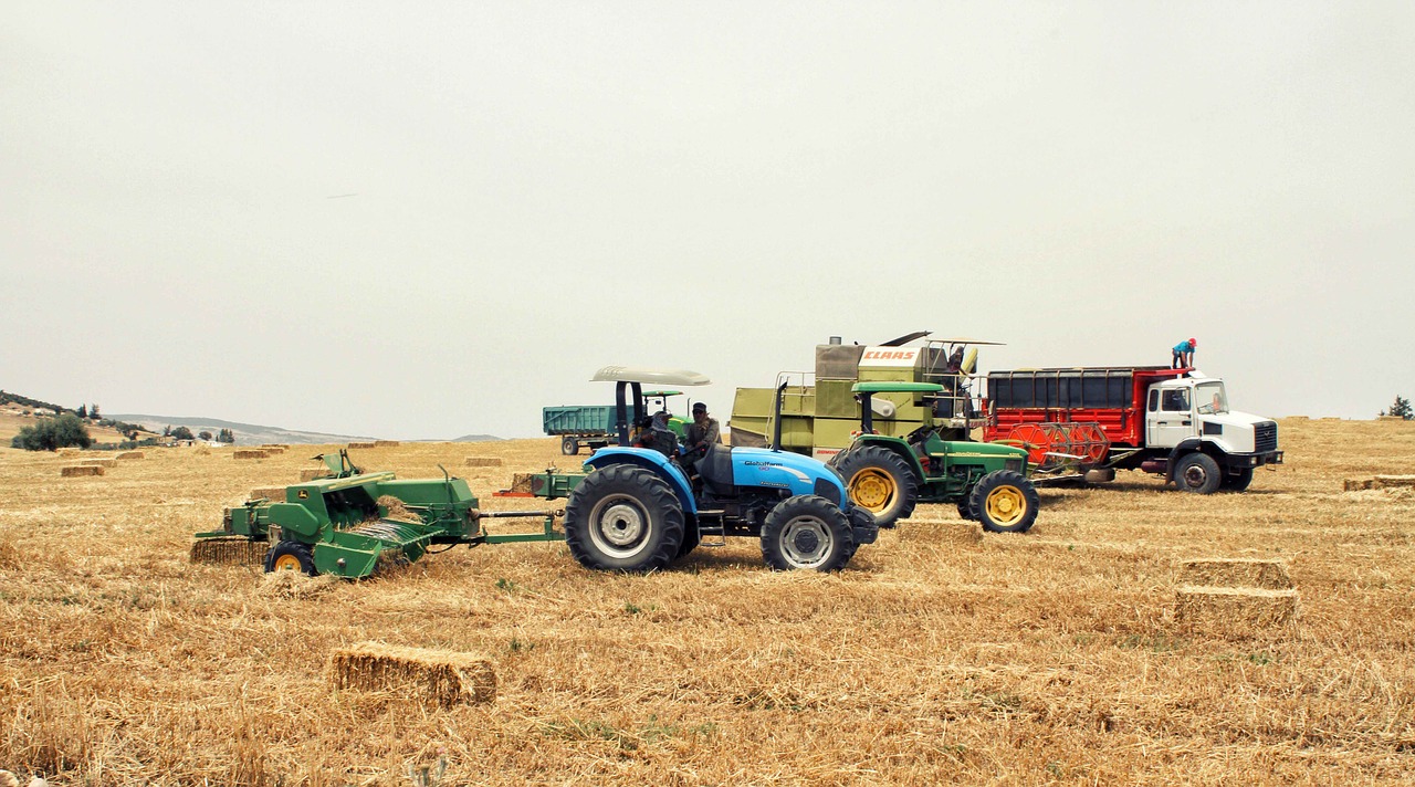 agriculture nature plant free photo