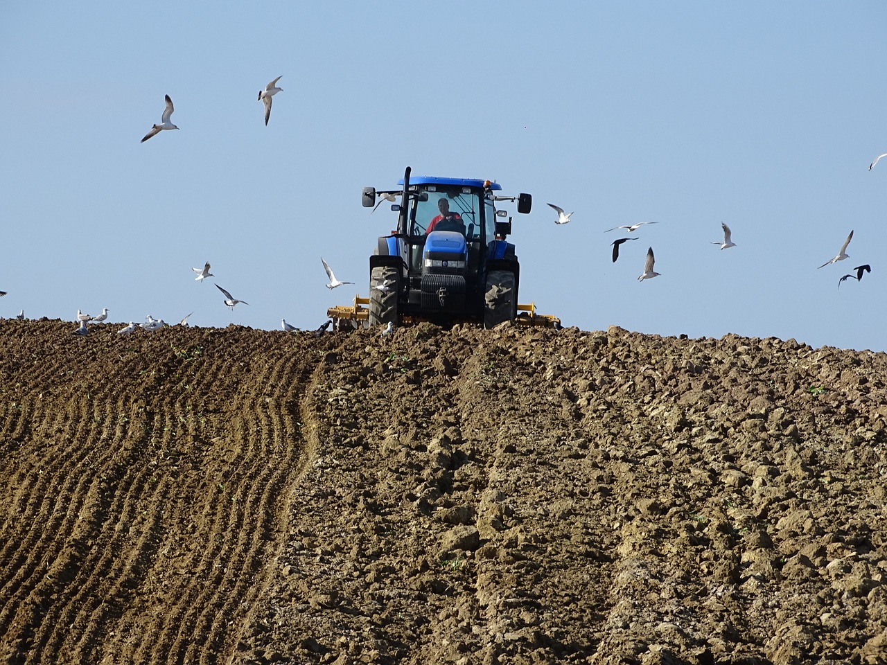 agriculture tillage field free photo
