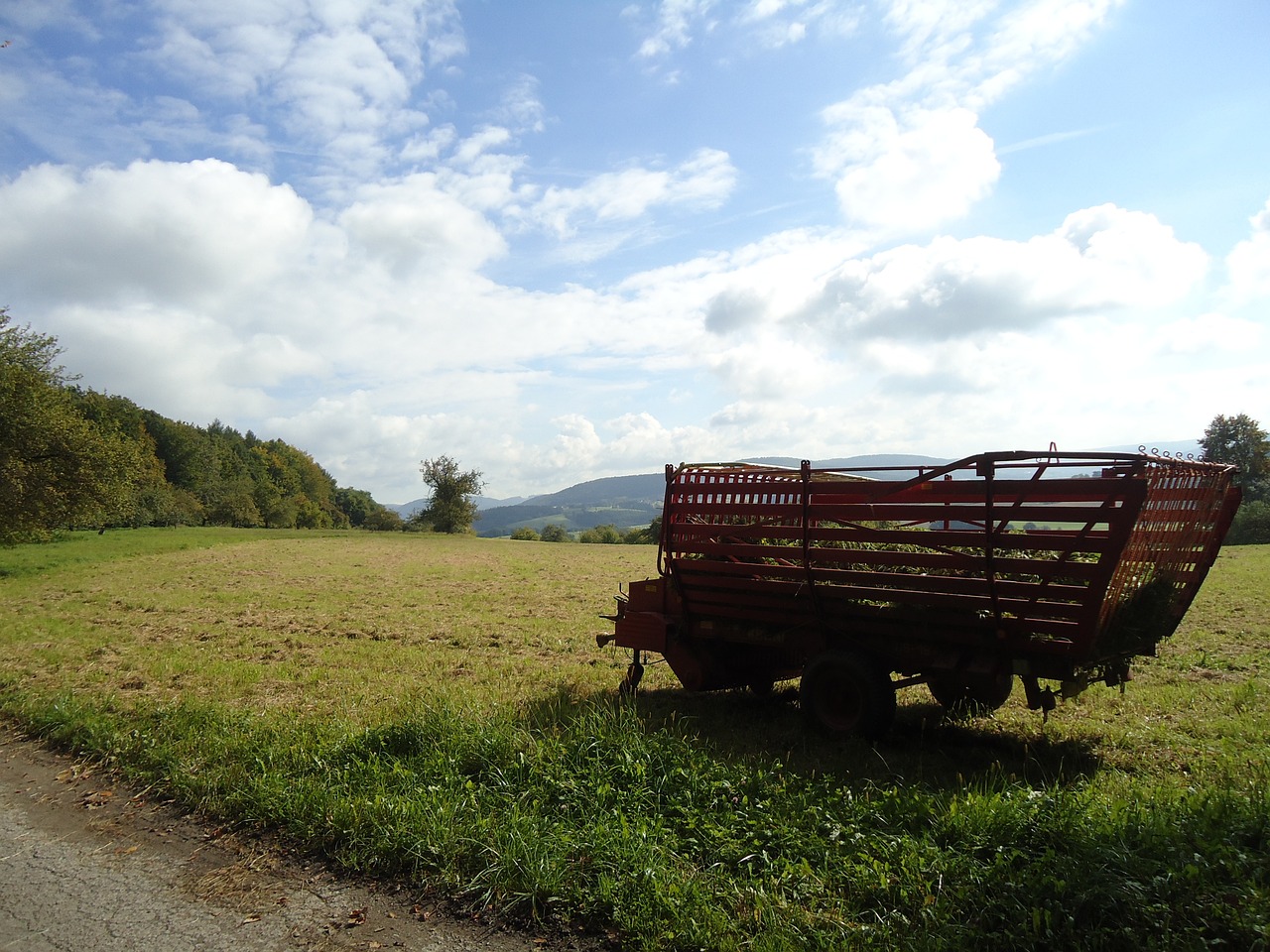 agriculture harvest field free photo