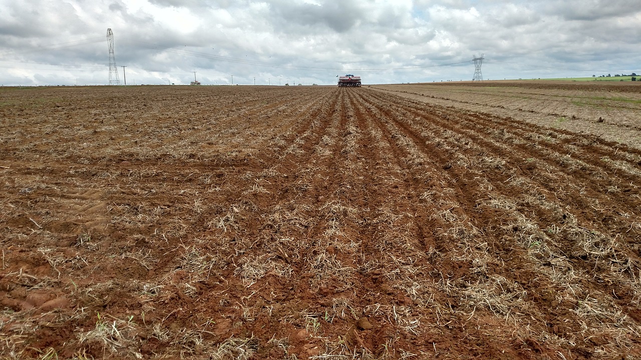 agriculture planting farm free photo