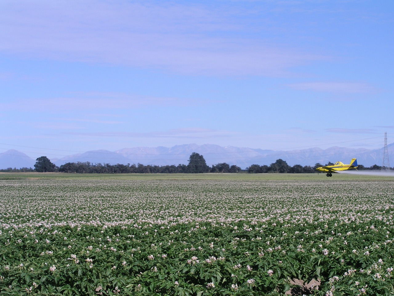 agriculture spray plane free photo