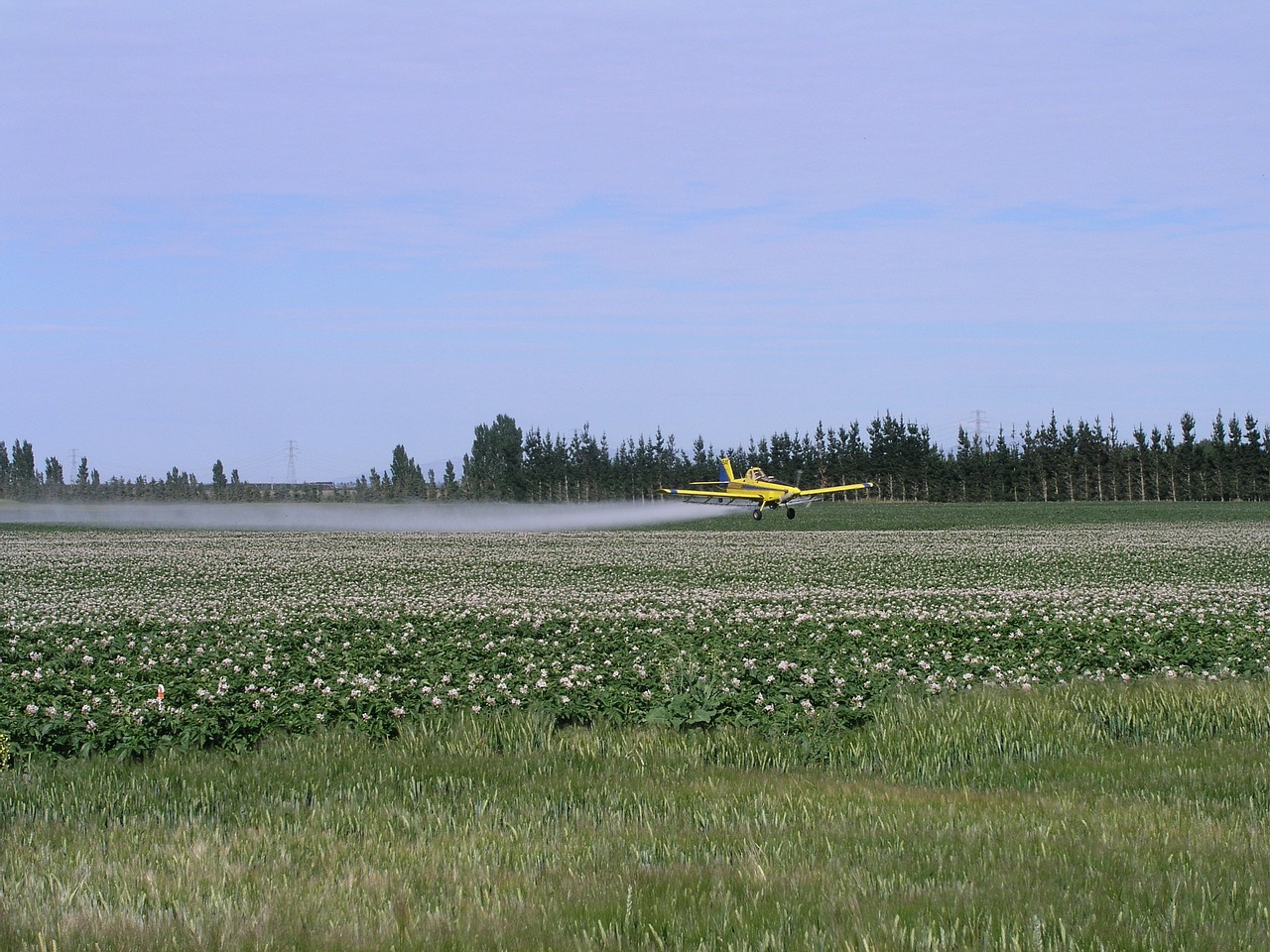 agriculture spray plane free photo