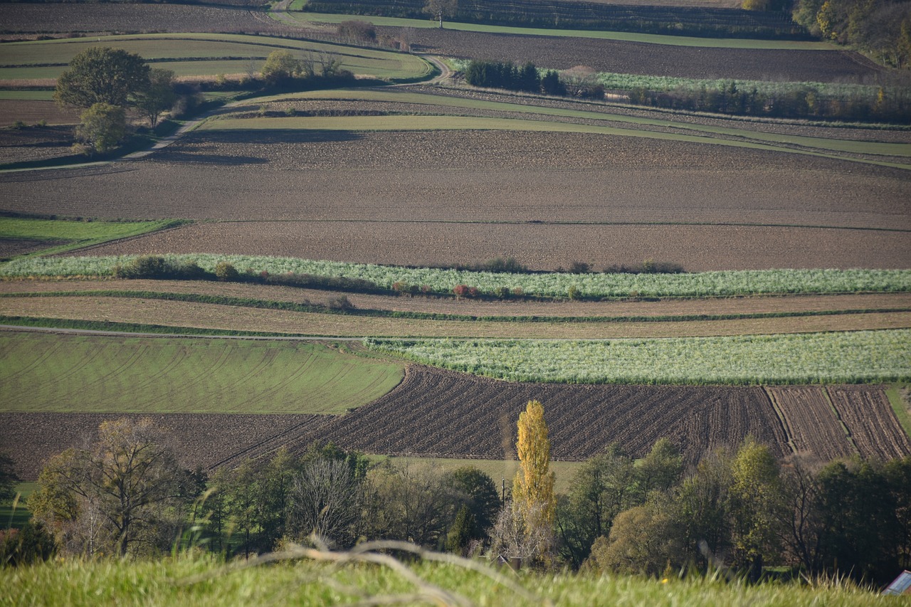 agriculture wide free pictures free photo