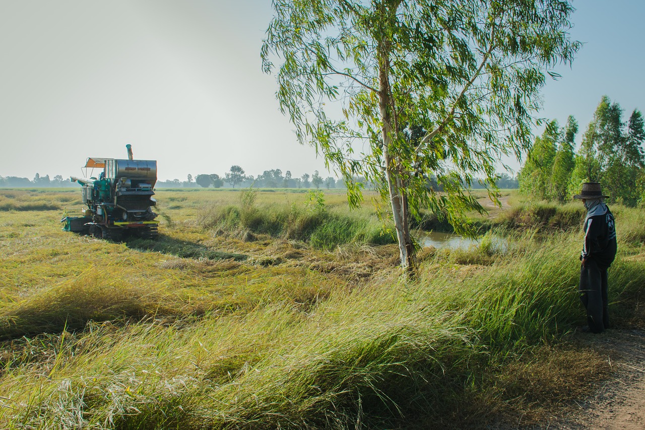 agriculture the industry the village free photo