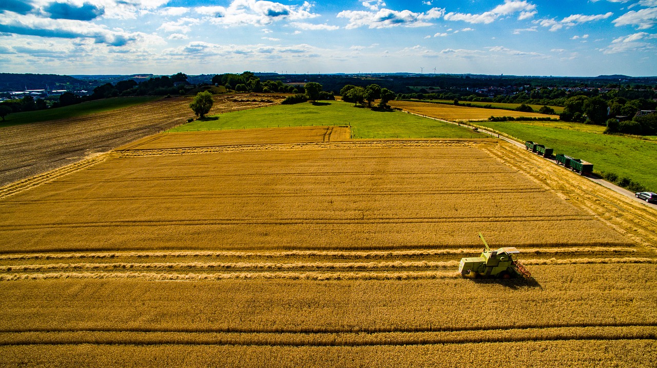 agriculture harvest time summer free photo