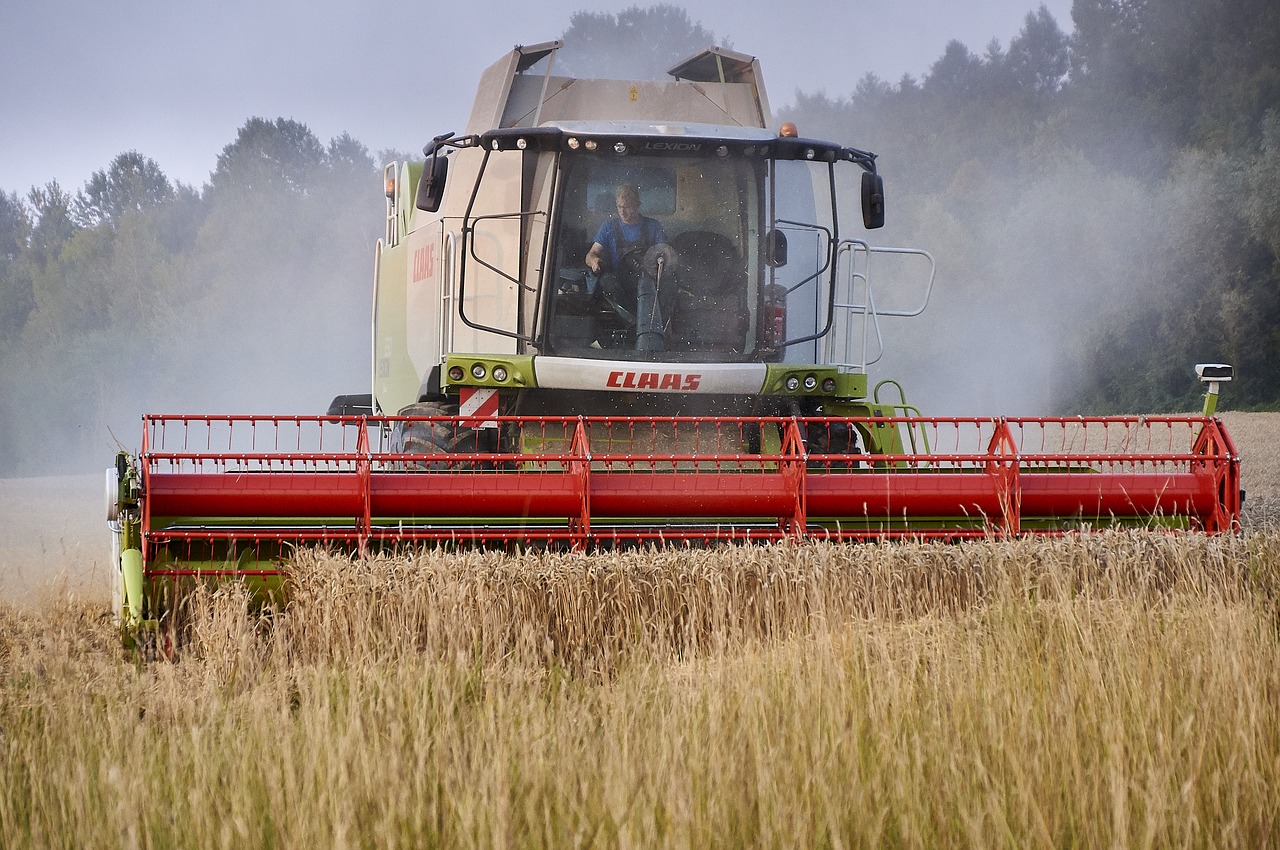 agriculture field wheat free photo