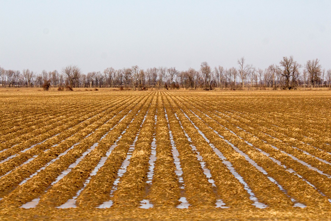 agriculture nature farm free photo