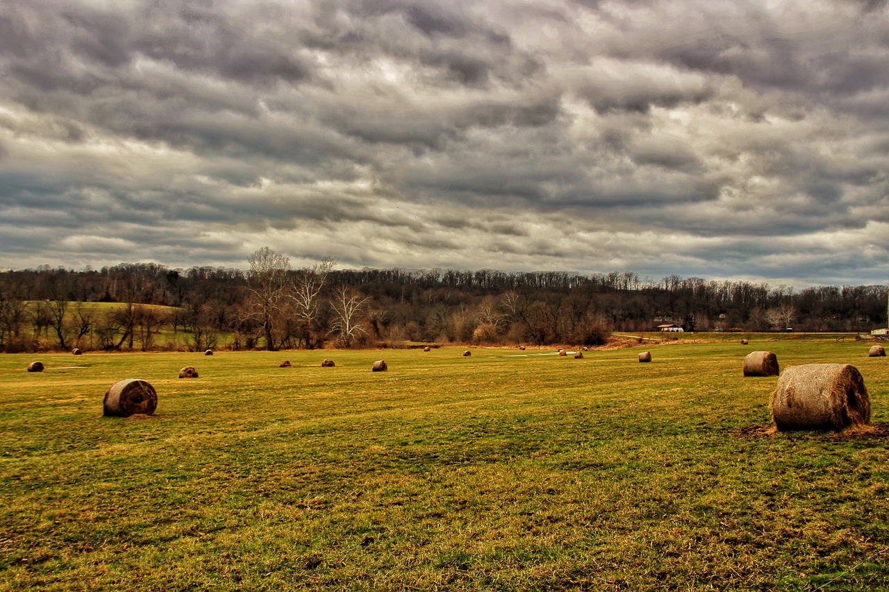 agriculture farm field free photo