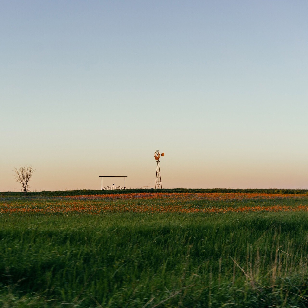 agriculture landscape field free photo