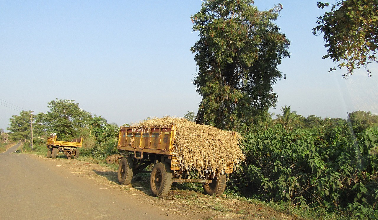 agriculture nature farm free photo