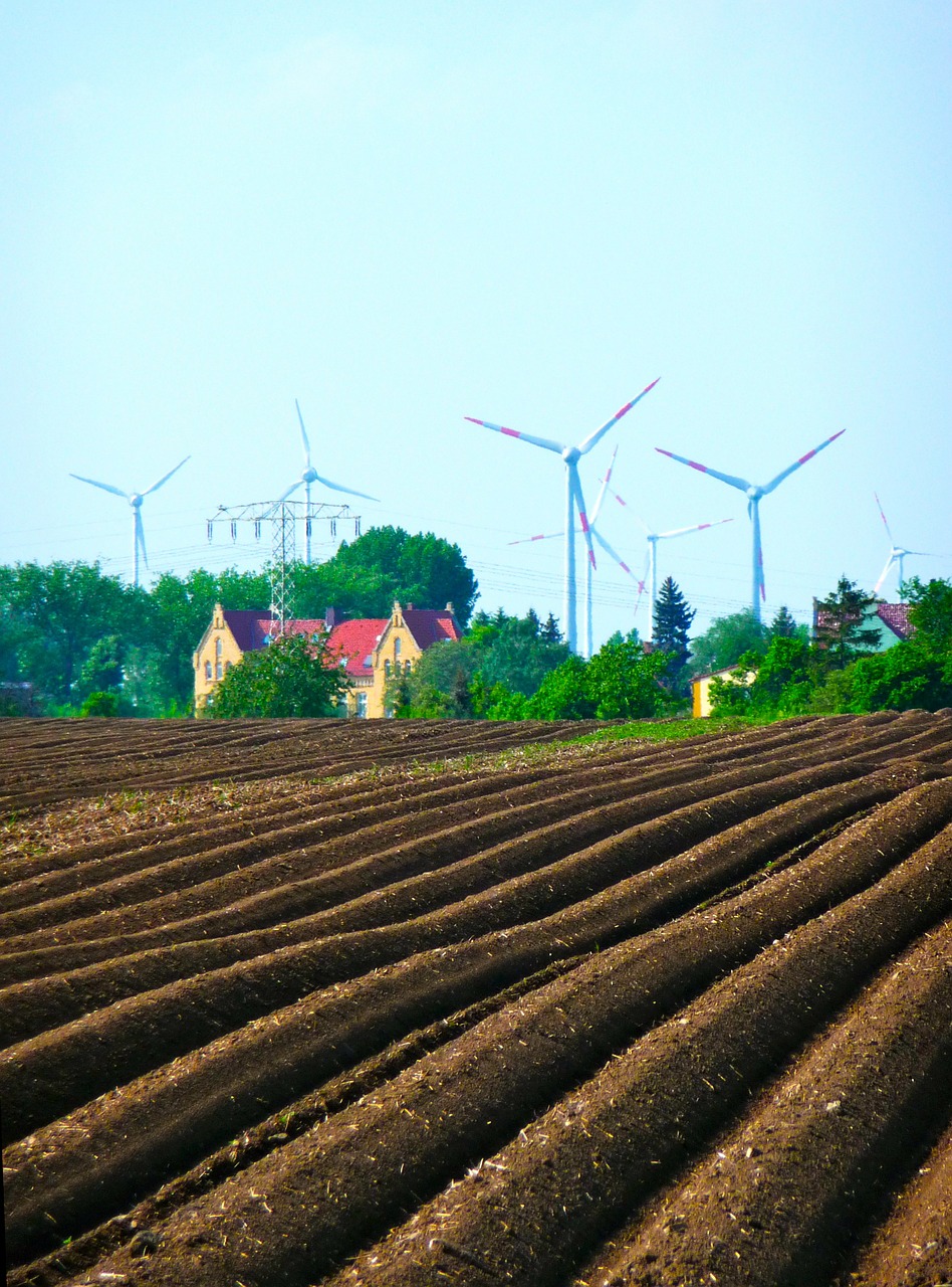 agriculture farm farm land free photo