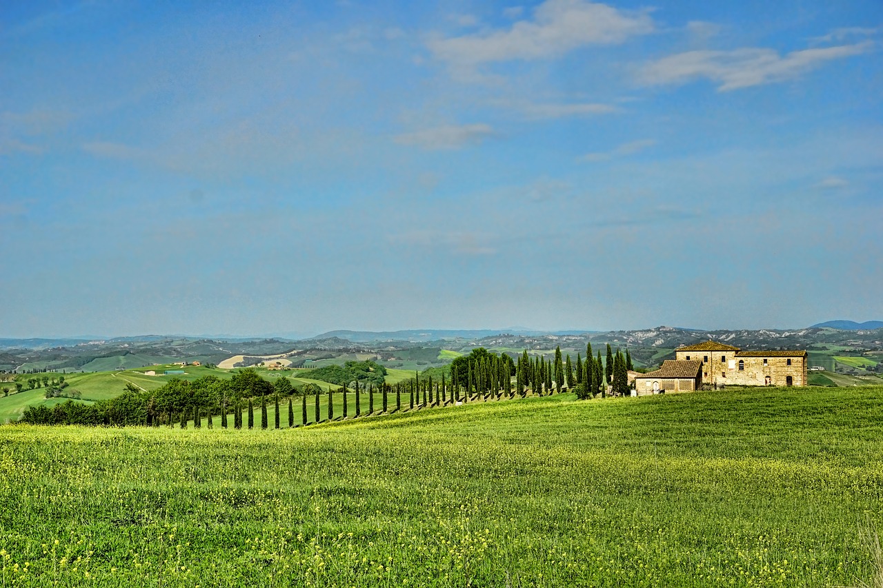 agriculture  nature  panorama free photo