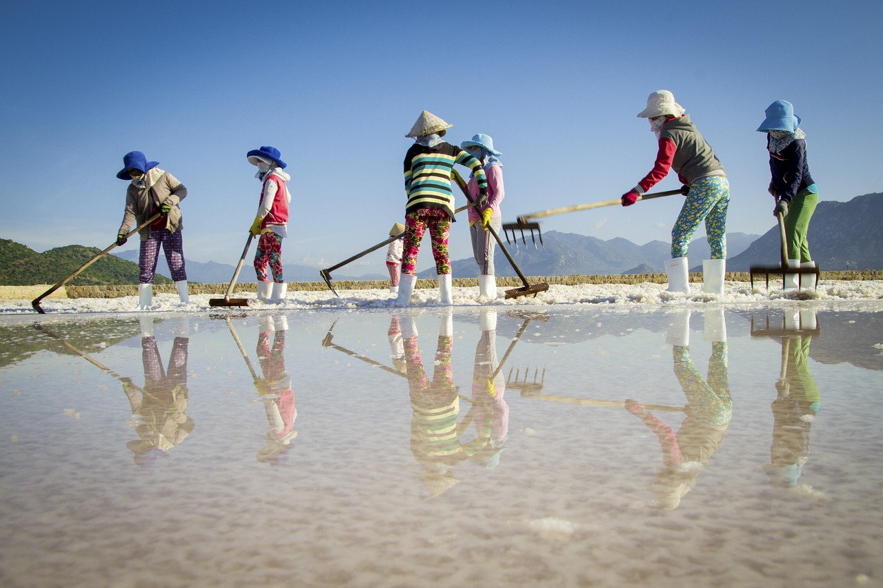 agriculture  salt making  salt makers free photo