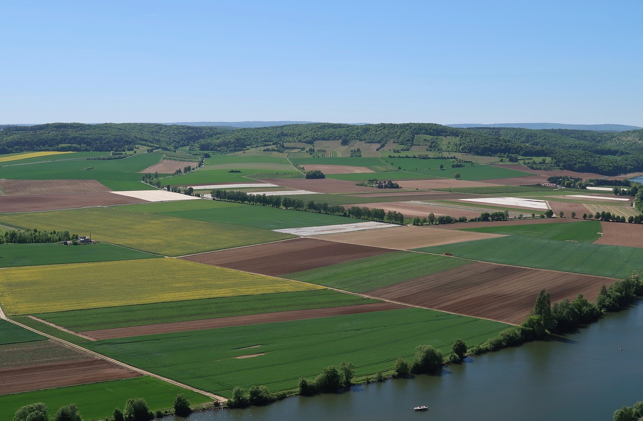 agriculture  fields  color free photo