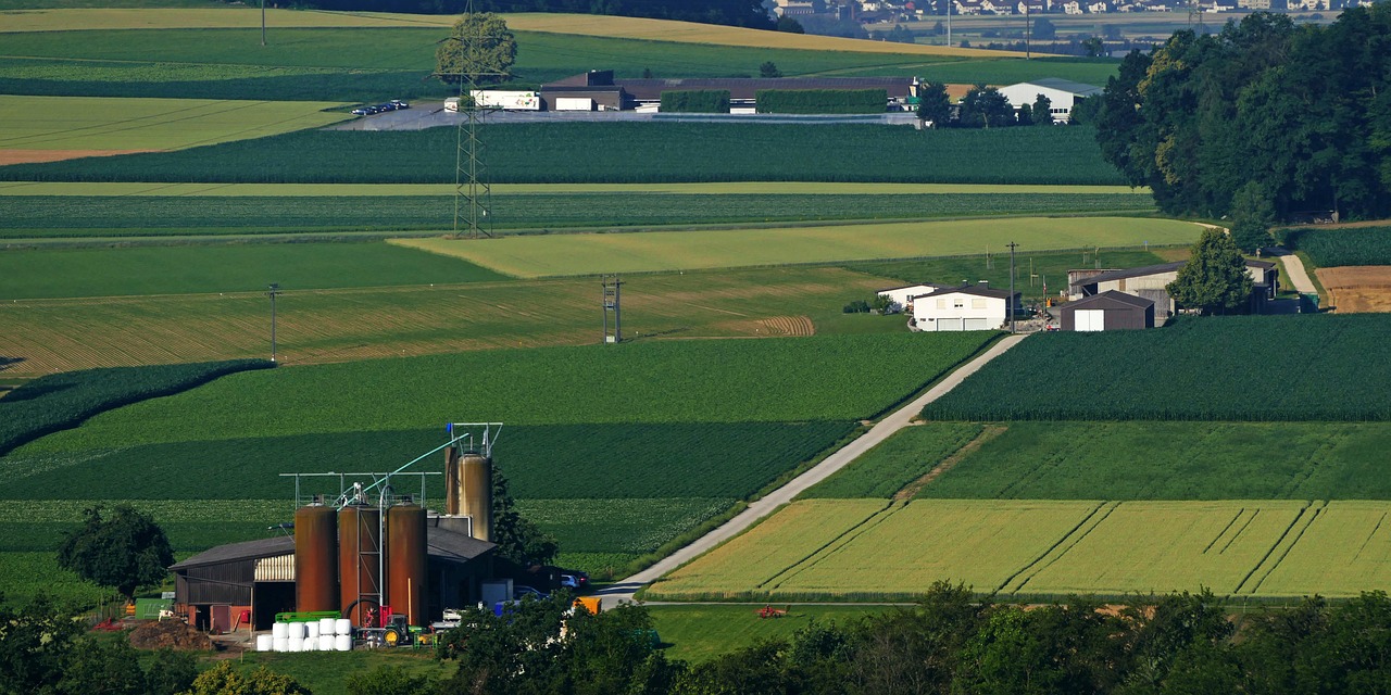 agriculture  farm  silos free photo