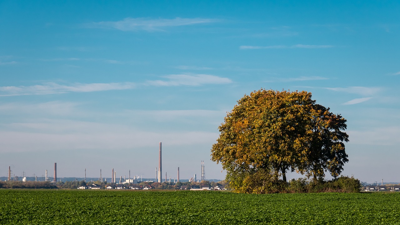 agriculture  nature  industry free photo