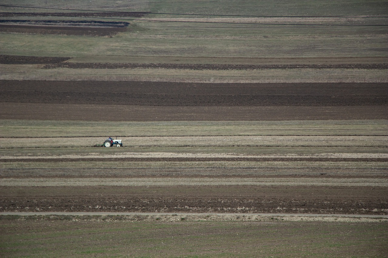 agriculture  fields  tractor free photo