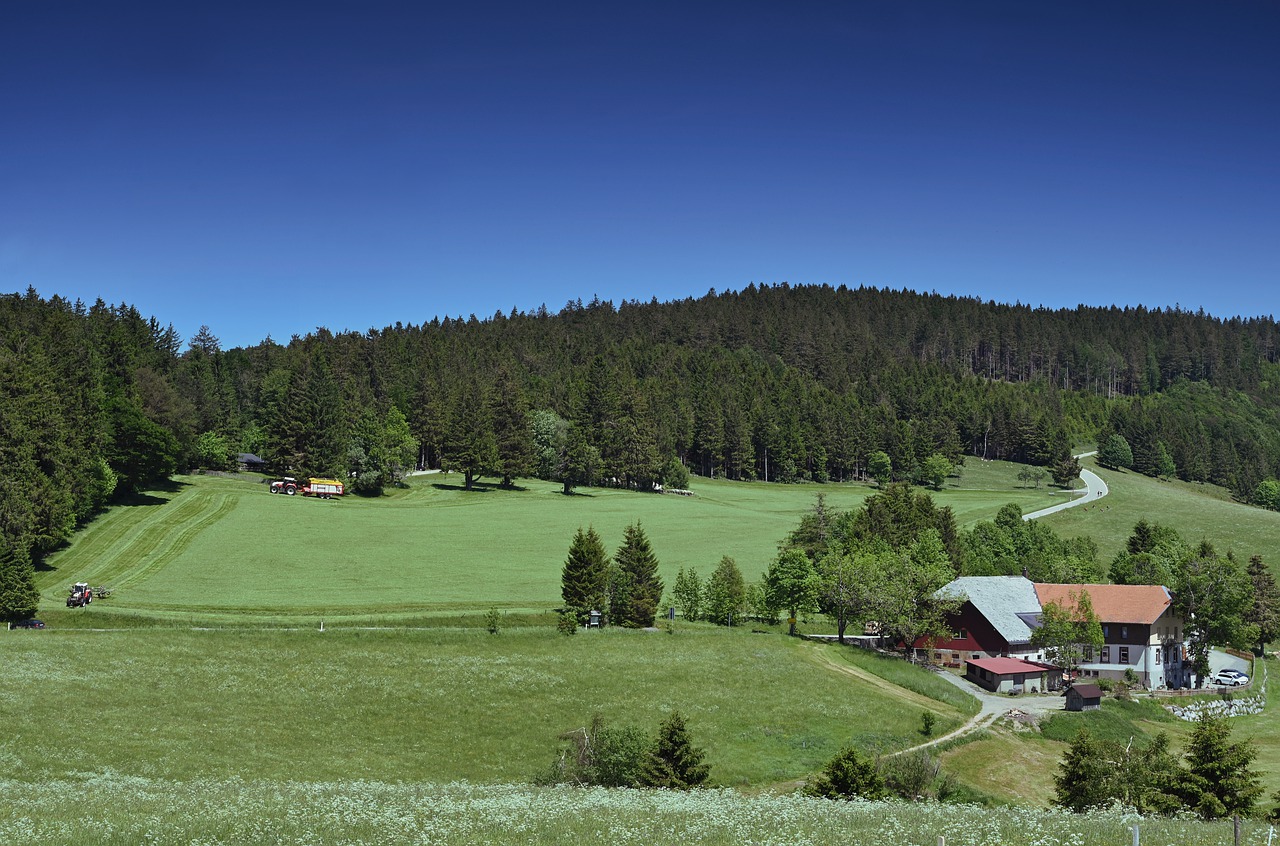 agriculture  farm  landscape free photo