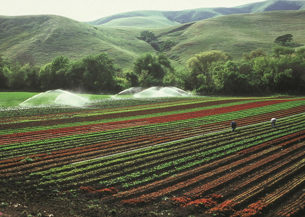 agriculture crops irrigation free photo
