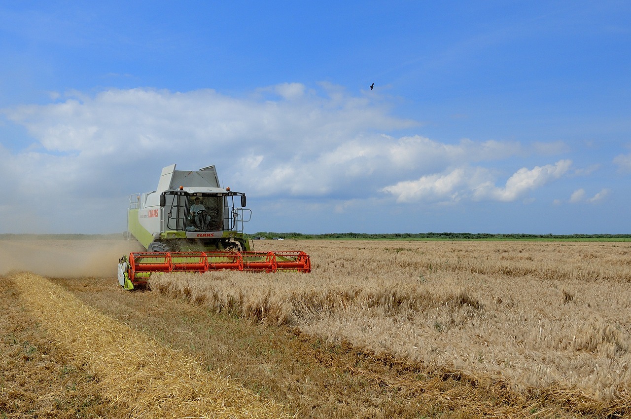 agriculture harvest wheat free photo