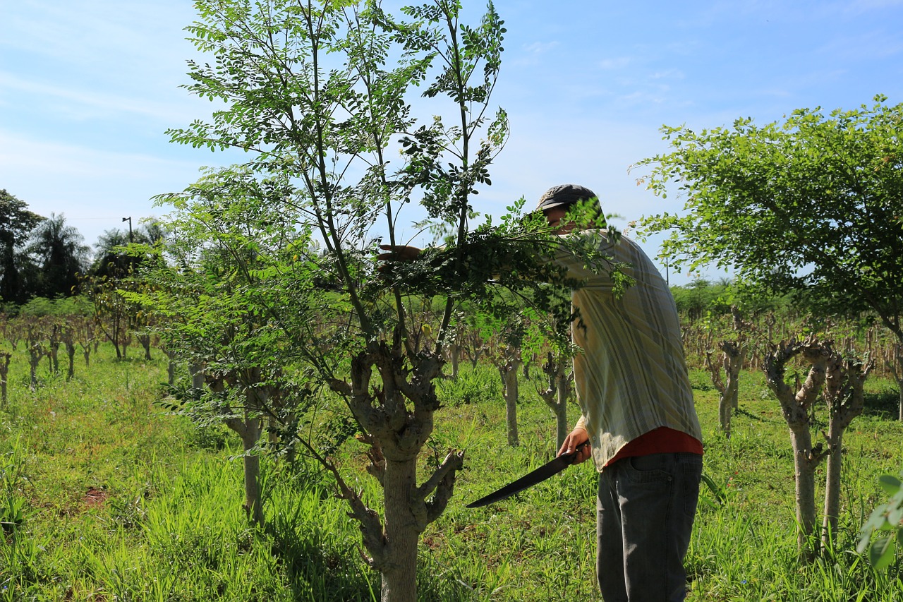 agriculture farmer worker free photo