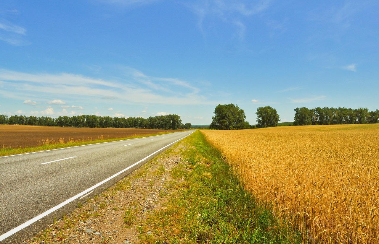 agriculture field harvest free photo