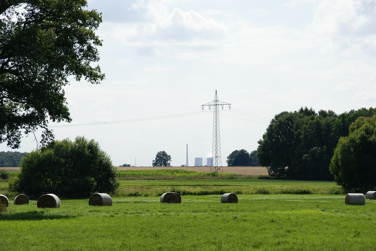 agriculture straw hay free photo