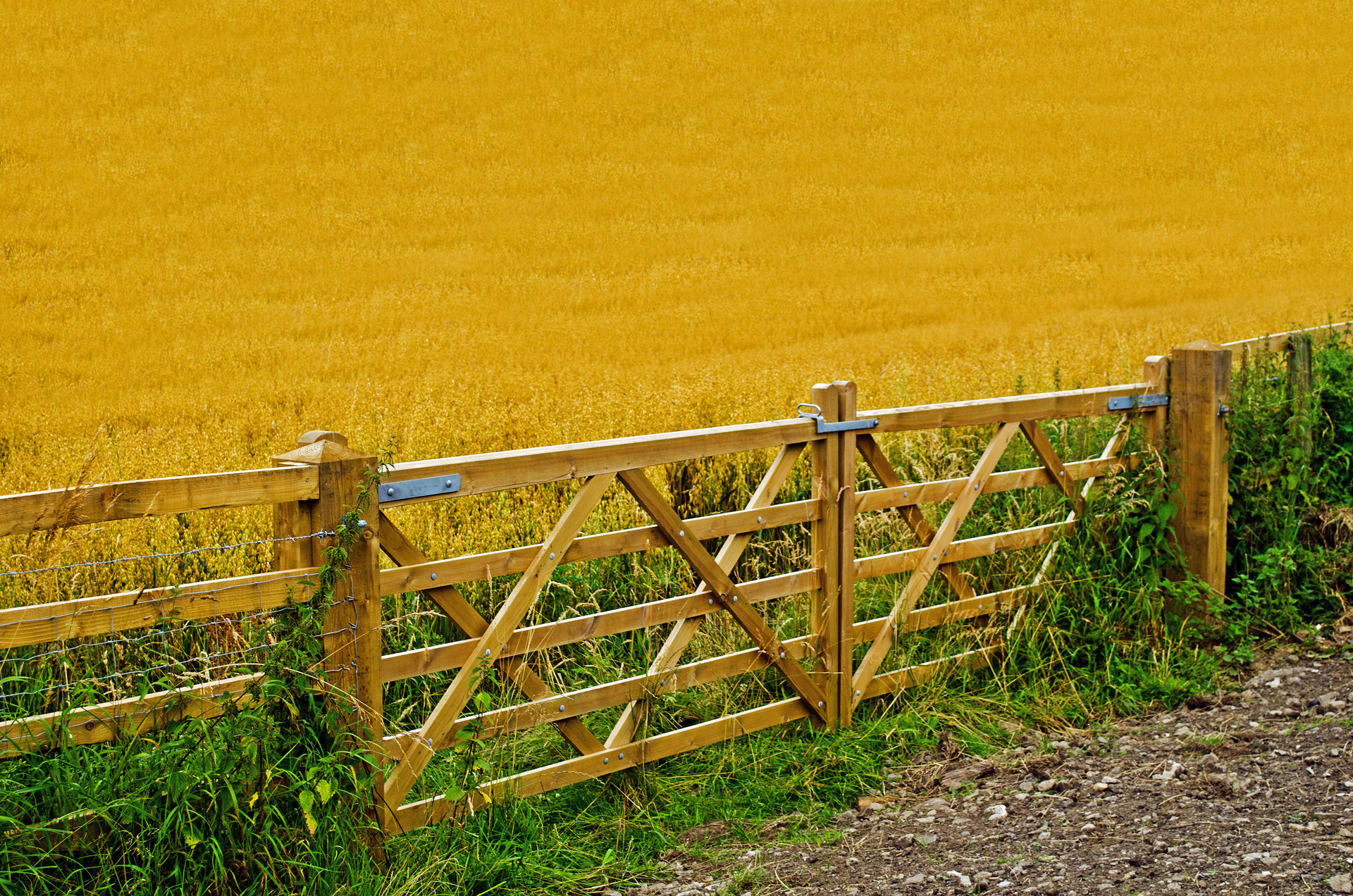 agriculture crop fence free photo