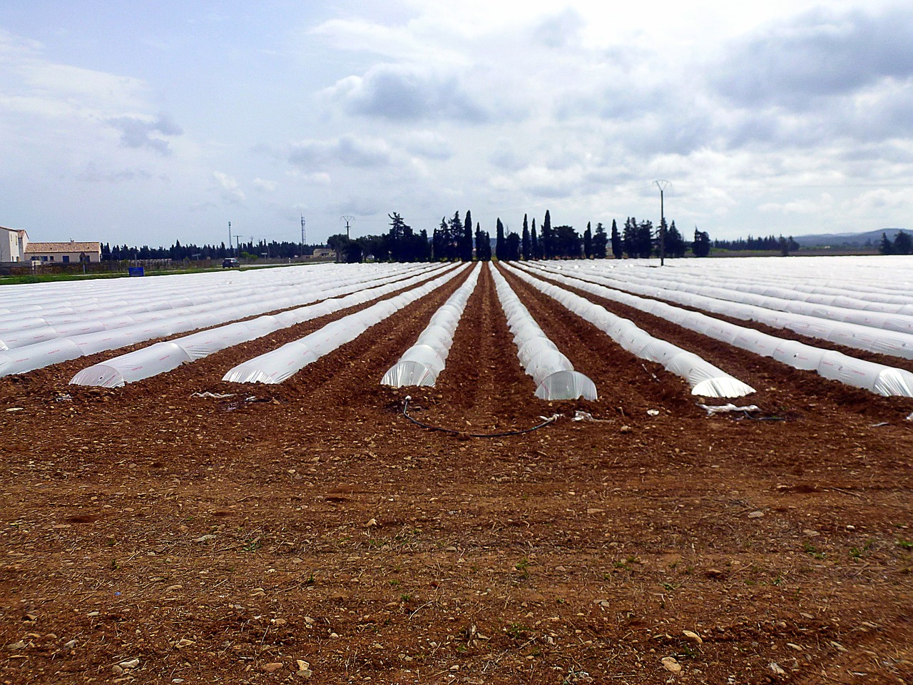 agro-industry  earth  outdoor free photo