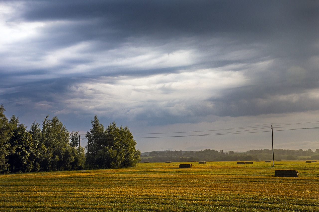 agrofirm field panoramic free photo