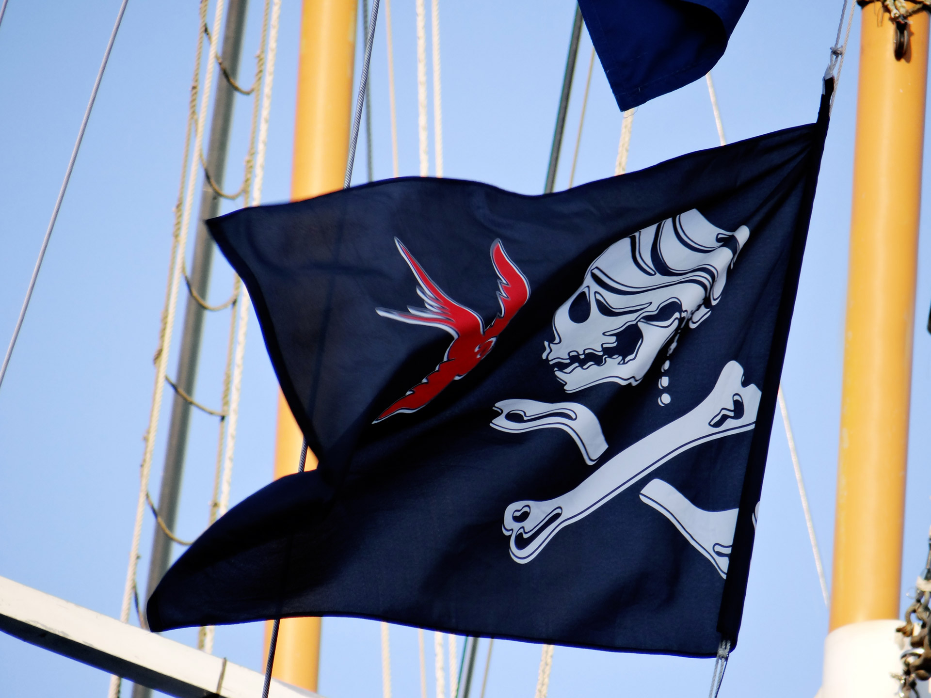 ahoy matey flag pirate free photo