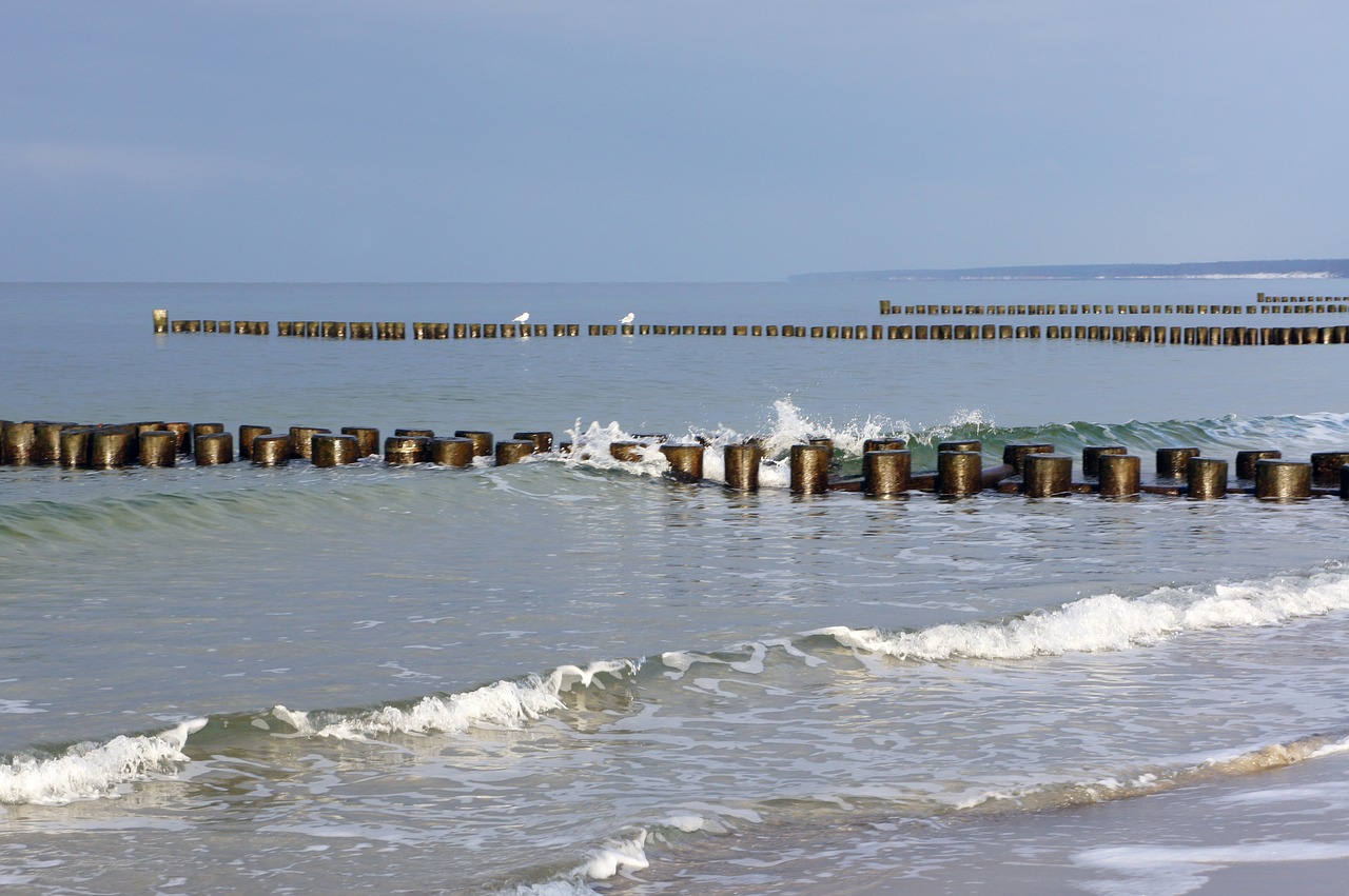 ahrenshoop baltic sea beach buhne free photo