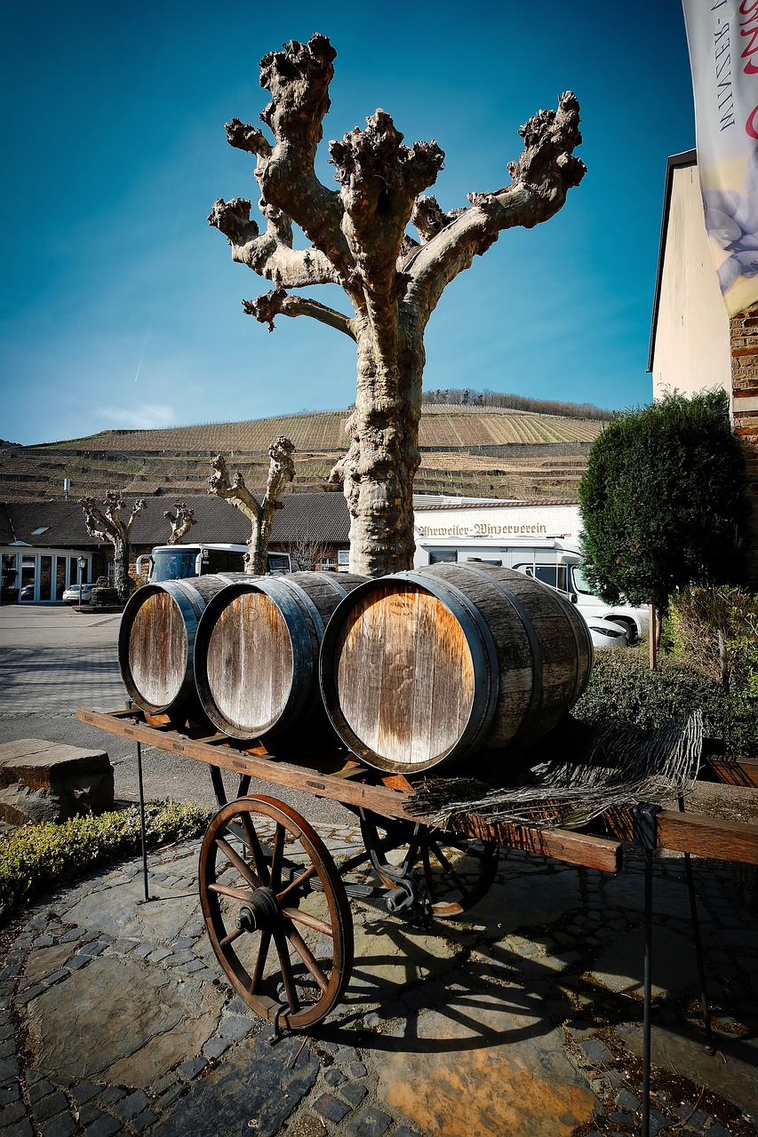 ahrweiler  wine barrel  winegrowing free photo
