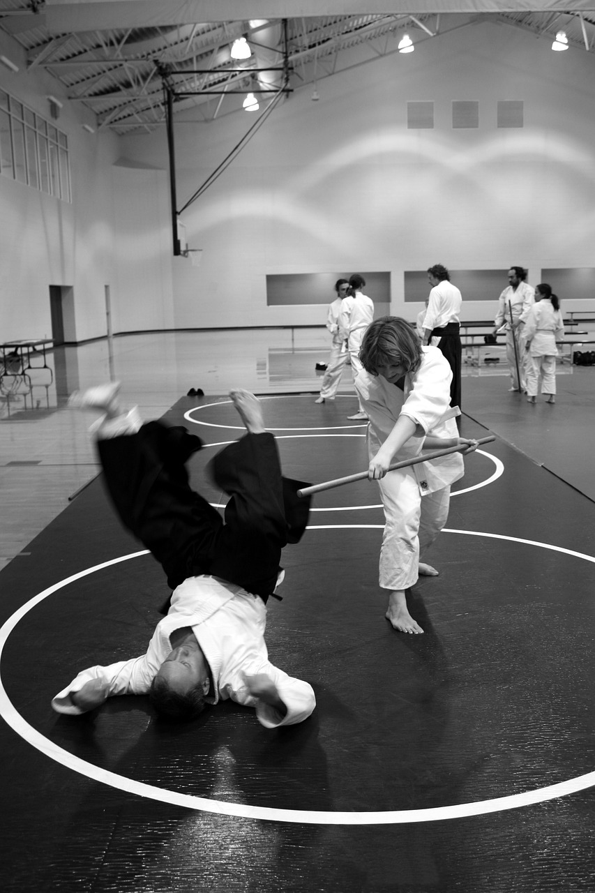 aikido martial arts self-defense free photo