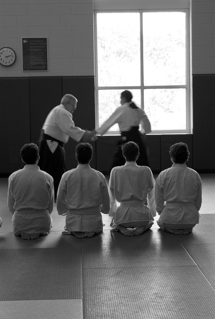 aikido martial arts self-defense free photo