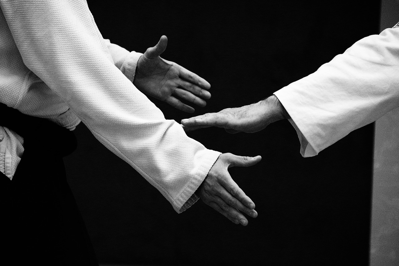 aikido  self-defense  training free photo